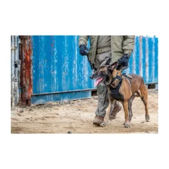 5.11 - AROS K9 Hundehalsbånd Bred // Ranger Green