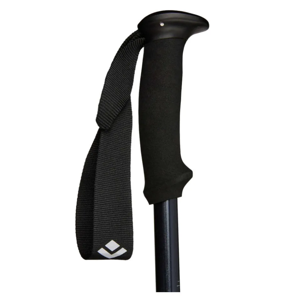 Black Diamond - Explorer 2 Vandrestave 2 stk Ink Blue