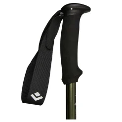 Black Diamond - Explorer 3 Vandrestave 2 stk Tundra