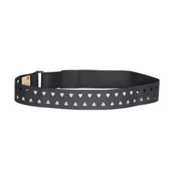 Tardigrade Tactical - Low Profile Laminate Belt // Sort